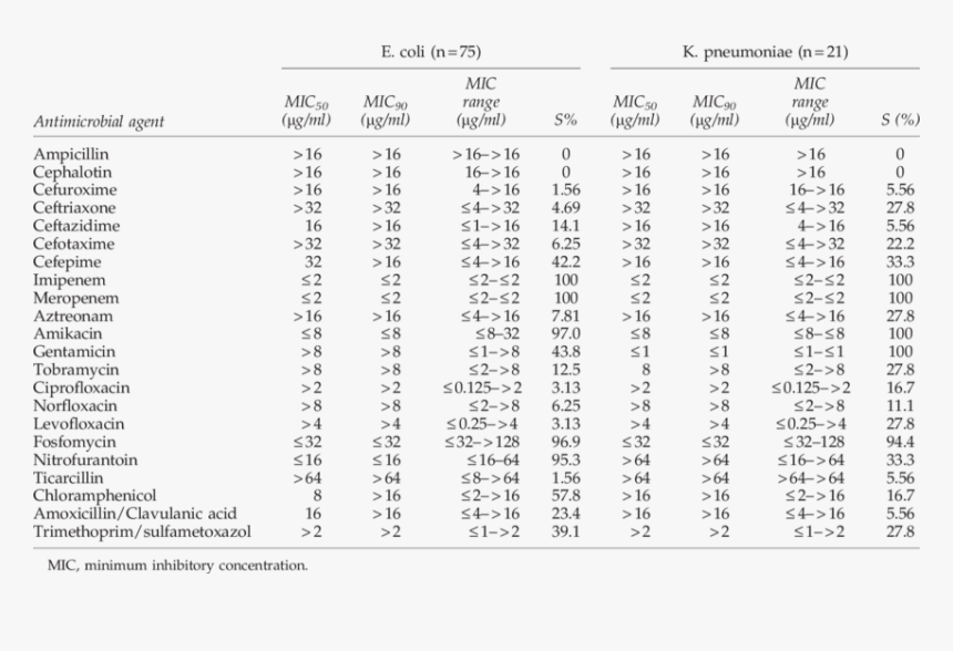 Document, HD Png Download