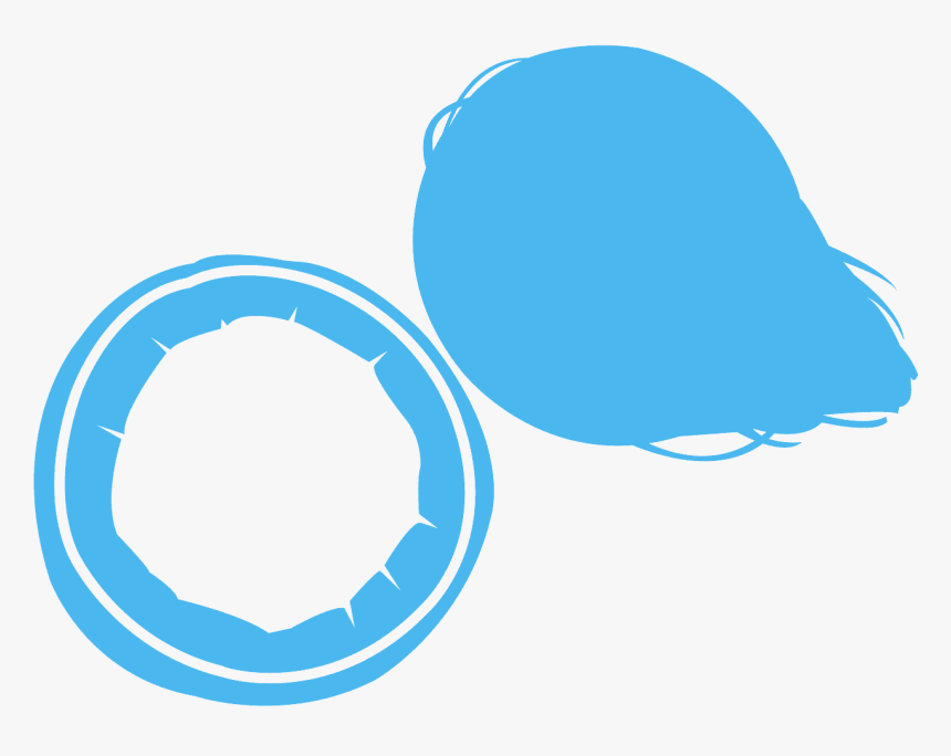 Clip Art, HD Png Download