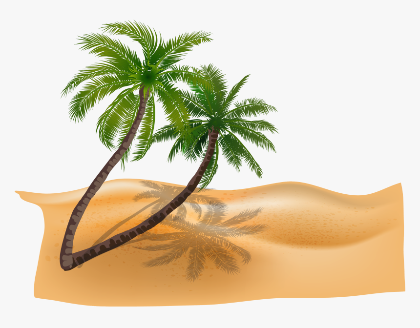 Vector Material Plant Coconut Trees Beach Beach - Beach Coconut Tree Png, Transparent Png