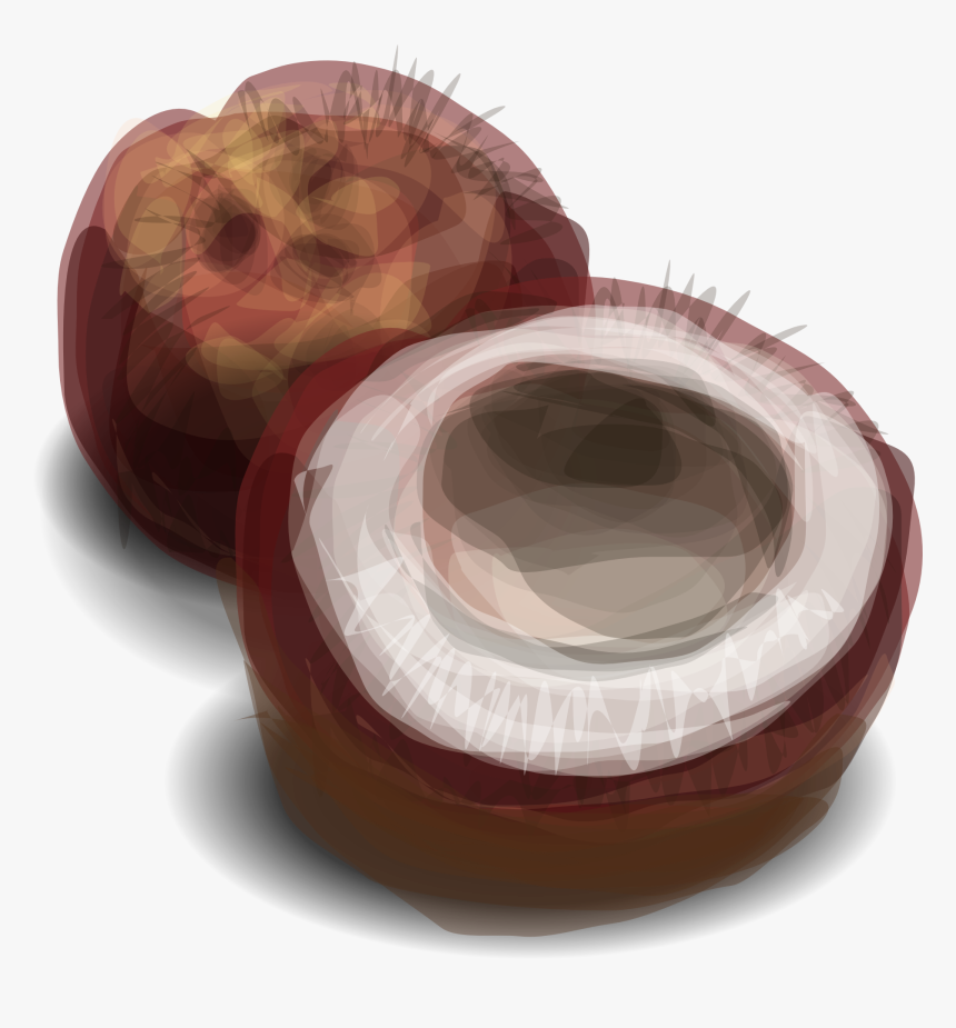 Coconut Clip Art, HD Png Download