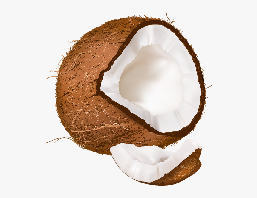 Transparent Background Coconut Clipart, HD Png Download
