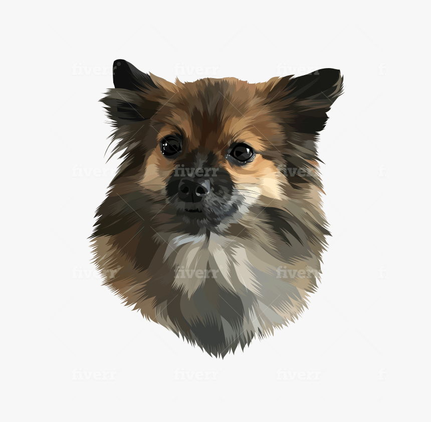 Pomeranian, HD Png Download