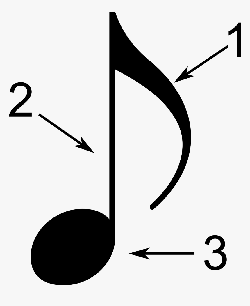 Pictures Of A Musical Note 22, Buy Clip Art - Parts Of A Note In Music, HD Png Download