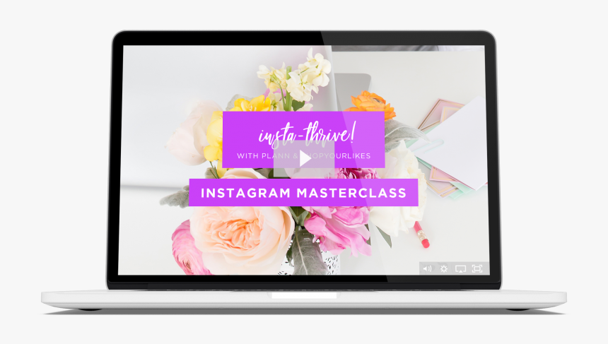 Hybrid Tea Rose, HD Png Download