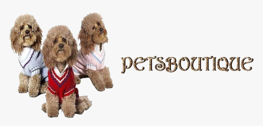 Petsboutique Online Logo - Labradoodle, HD Png Download