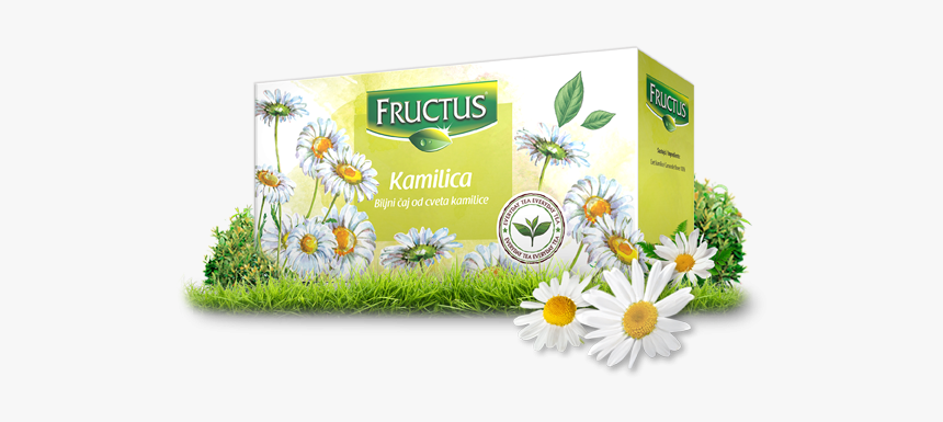 Everyday - Chamaemelum Nobile, HD Png Download