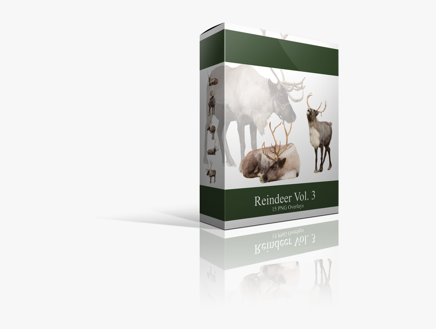 Picture - Rhinoceros, HD Png Download