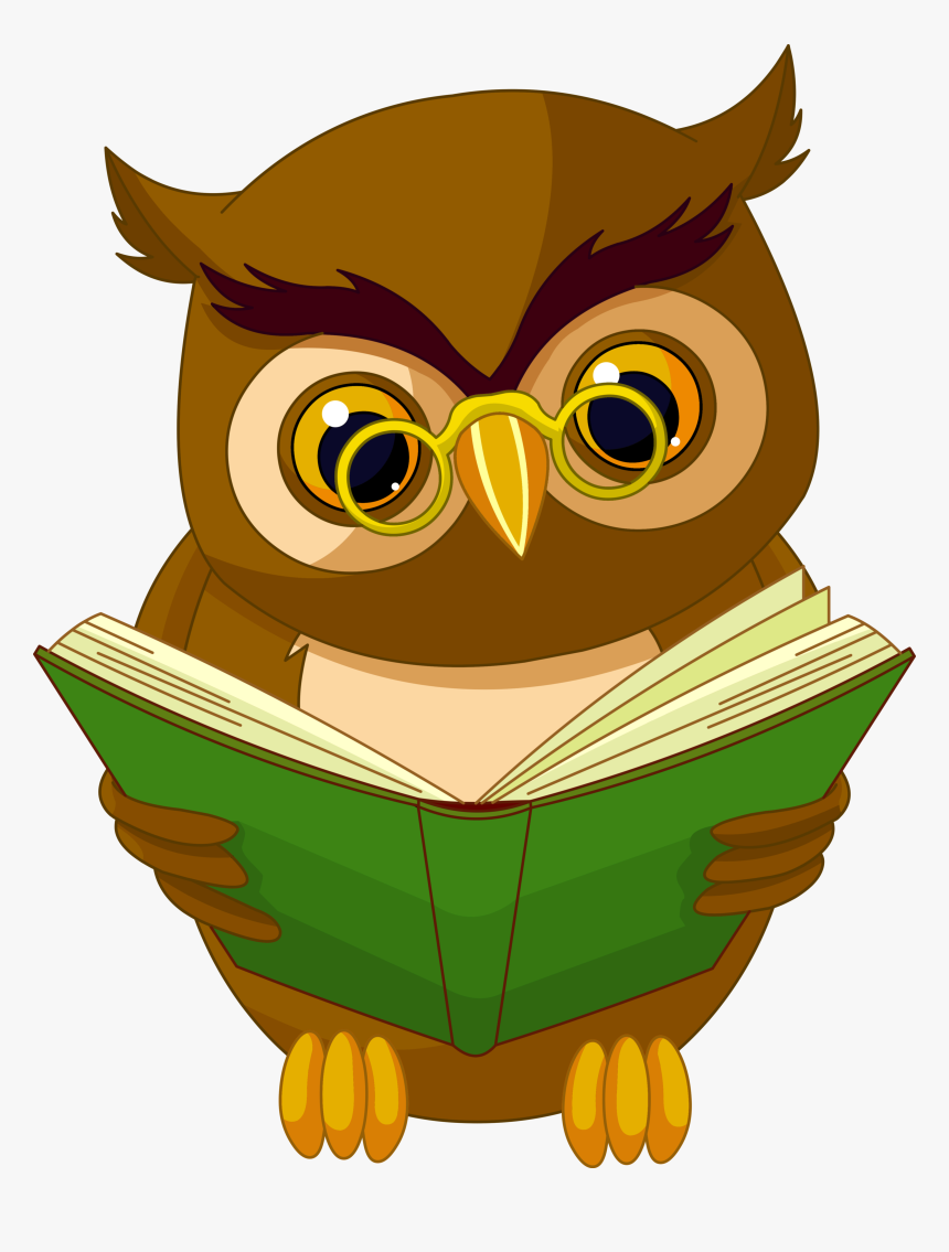 Owl With Book Png, Transparent Png