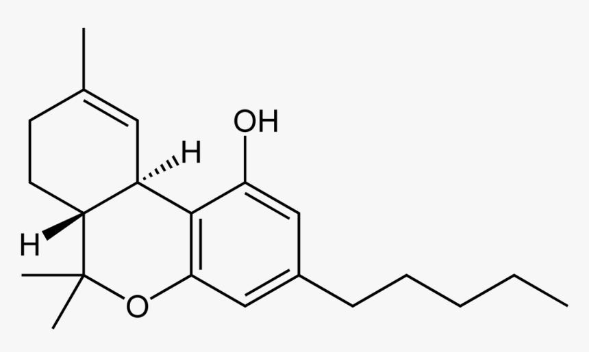 Thc 2d Skeletal - Delta 9 Tétrahydrocannabinol, HD Png Download