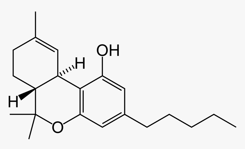 File - Thc-skeletal - Delta 8 Tetrahydrocannabinol, HD Png Download