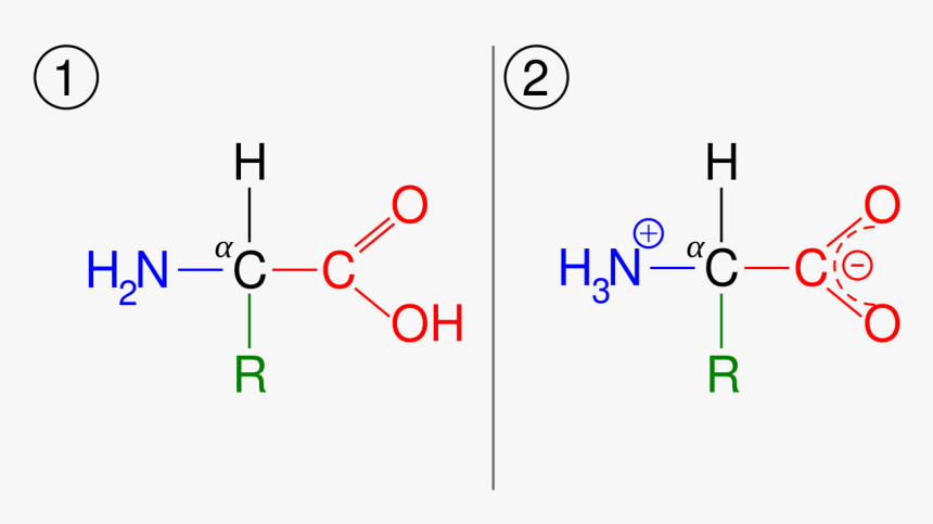 Thc Molecule Lewis Dot Structure - Thc Lewis Dot Structure, HD Png Download