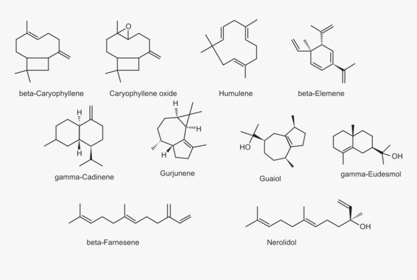 Diagram, HD Png Download