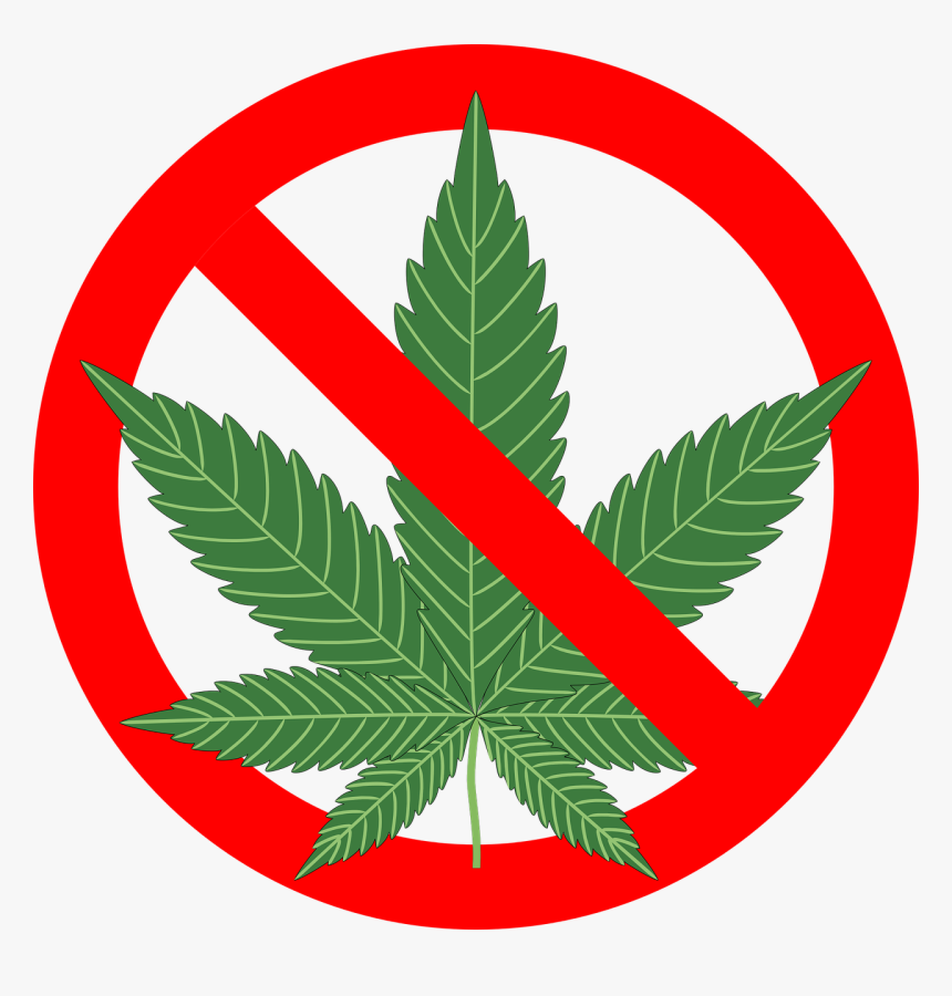 Cannabis-1254745 1280 - No Cannabis Png, Transparent Png