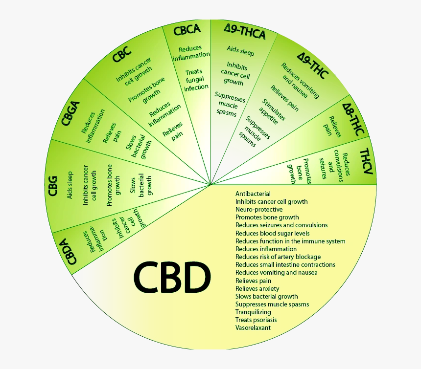 Full Spectrum Cbd Benefits, HD Png Download