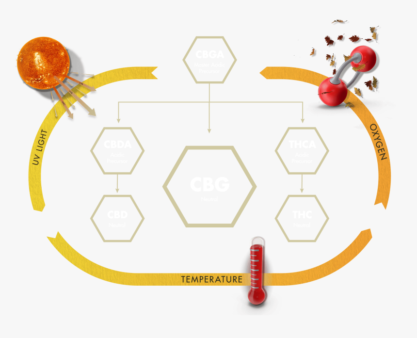 Clip Art, HD Png Download