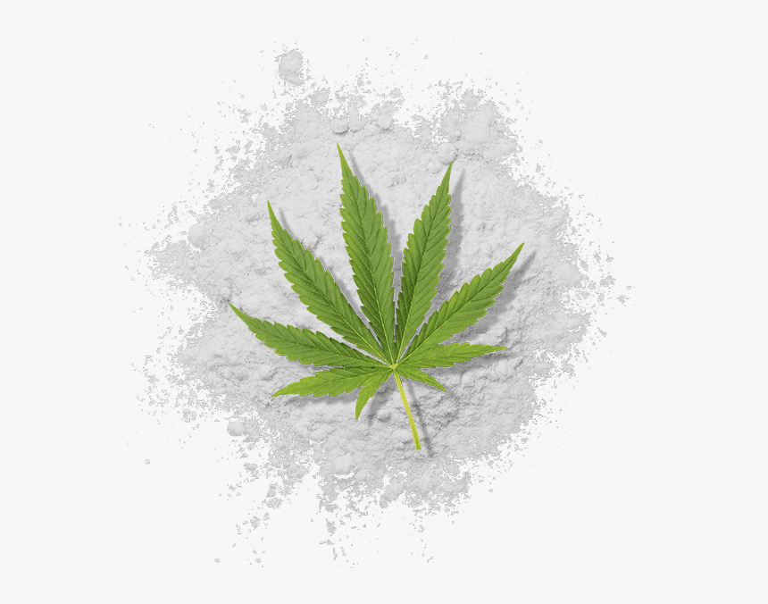 Water Soluble Thc Powder With Cannabis Leaf - Illustration, HD Png Download