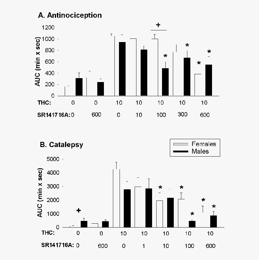 Diagram, HD Png Download