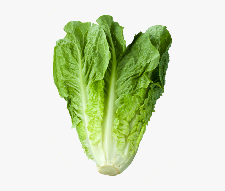 Vitamin Of Green Vegetable, HD Png Download