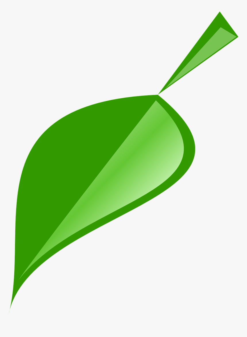 Leaf, Green, Nature, Plant, Natural, Spring - รูป ใบไม้ สวย ๆ Png, Transparent Png