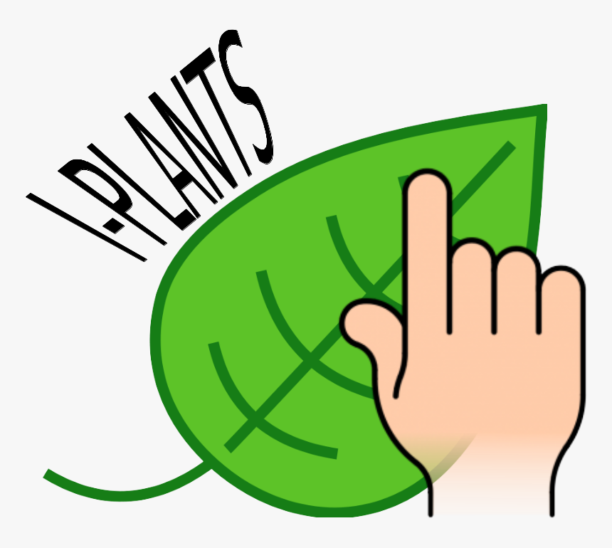 Simple Green Leaf Drawing Clipart , Png Download - Leaf Clip Art, Transparent Png