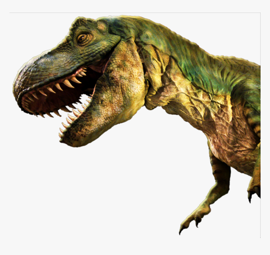 Dinosaur Png Image - Dinosaur Hd Png Download, Transparent Png