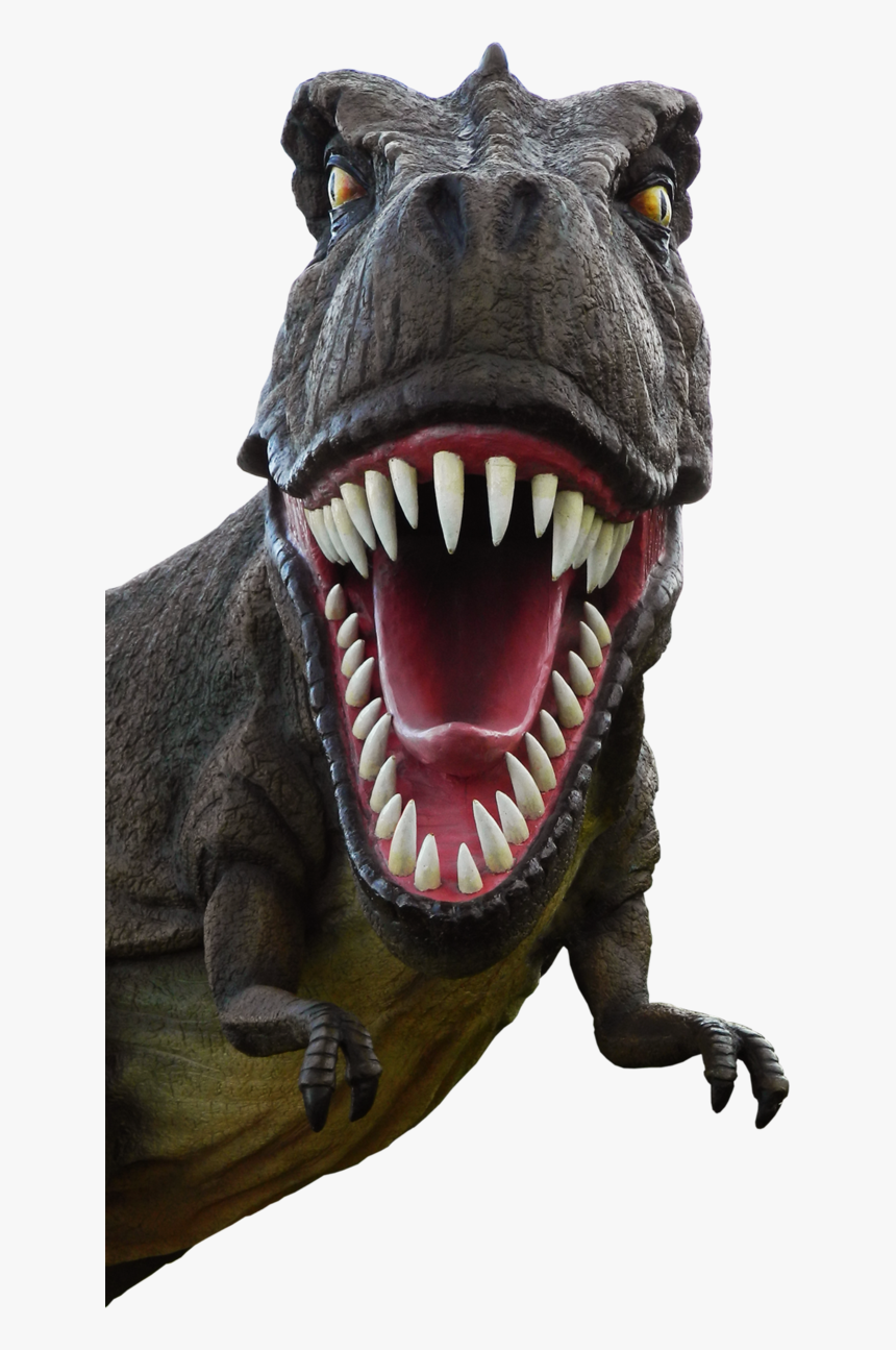 Dinosaur Png Image, Transparent Png