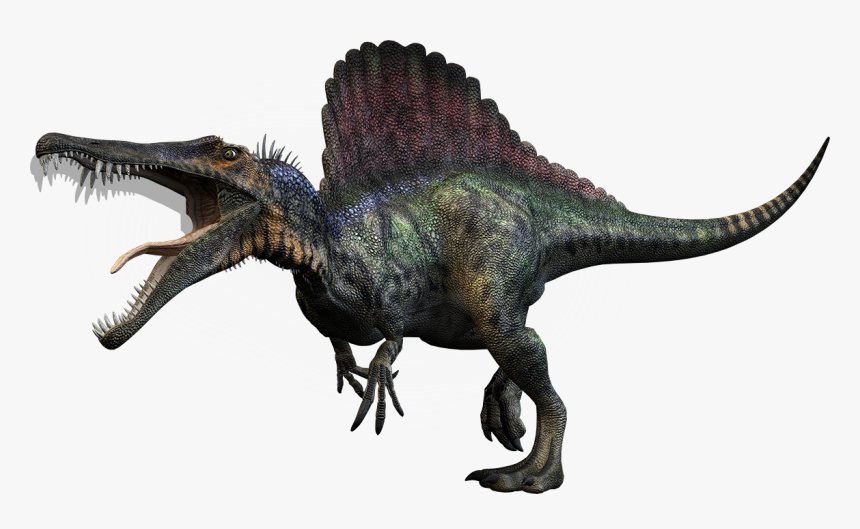 Transparent Background Dinosaur Png, Png Download