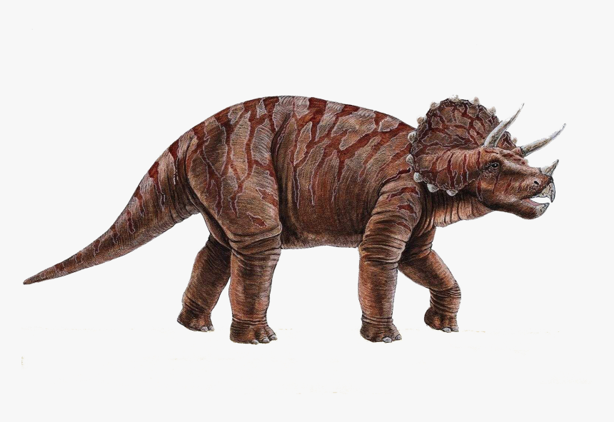 Dinosaur Png - Triceratops Png, Transparent Png