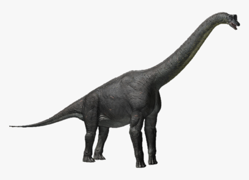 Dinosaur - Clash Of The Dinosaurs Sauroposeidon, HD Png Download