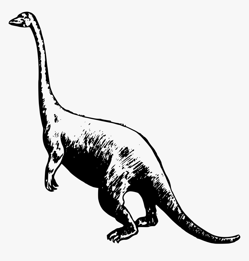 Basic Dinosaur Clip Arts - Dinosaur, HD Png Download