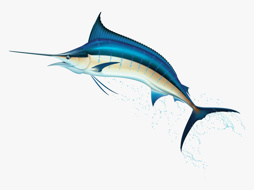 Swordfish, HD Png Download