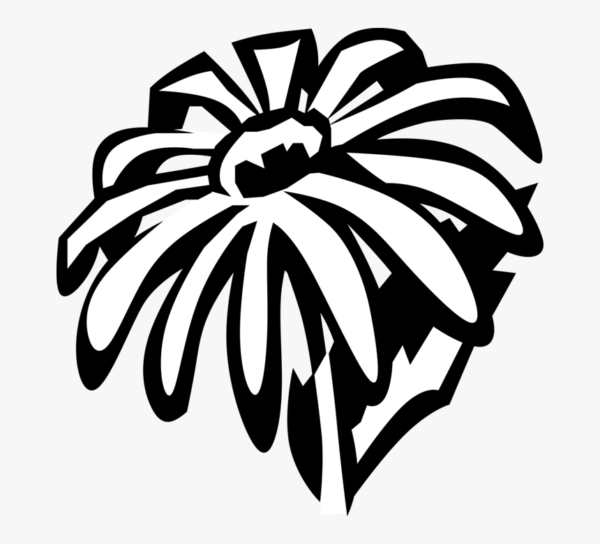 Vector Illustration Of Black-eyed Susan Botanical Flowering - Clip Art, HD Png Download
