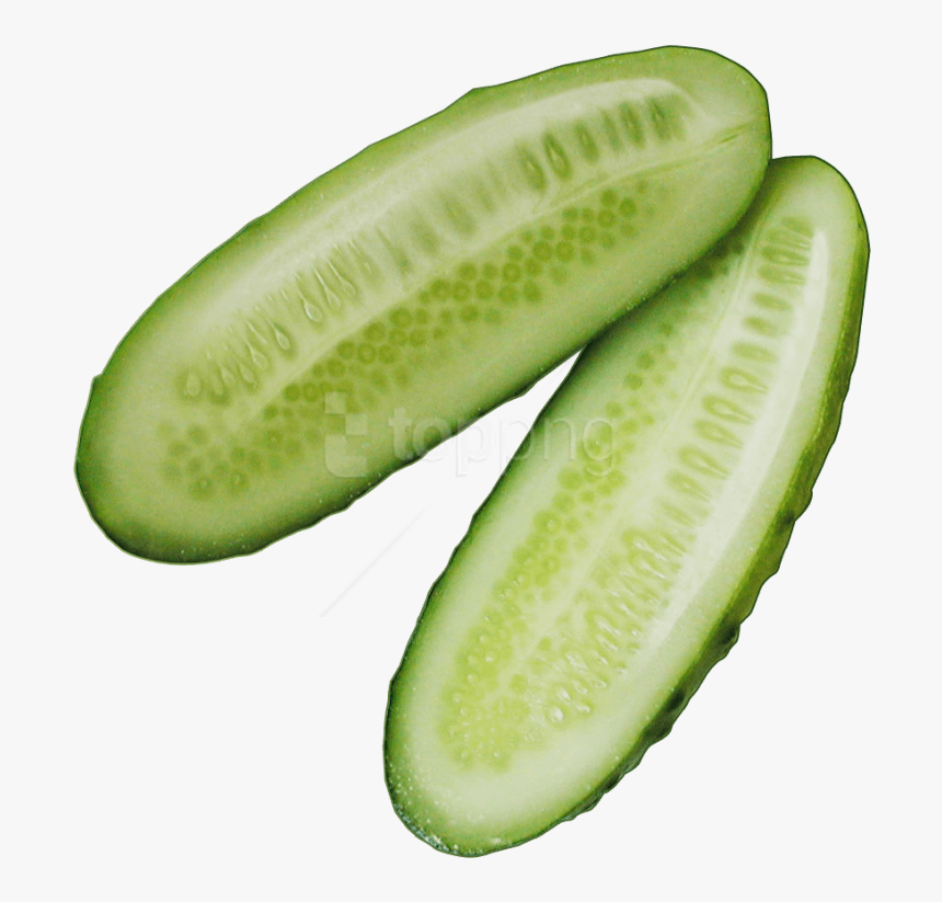 Cucumber Slice Png - Transparent Cucumber Png, Png Download