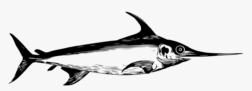 Shark,monochrome Photography,fish - Swordfish Png, Transparent Png
