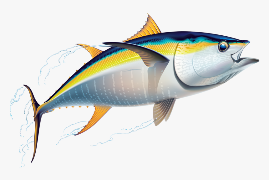Marlin Clipart Offshore Fishing - Tuna Clipart, HD Png Download