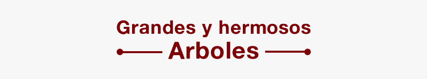 Mfa, HD Png Download