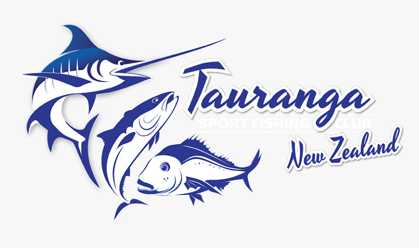 Tauranga Sport Fishing Club - Atlantic Blue Marlin, HD Png Download