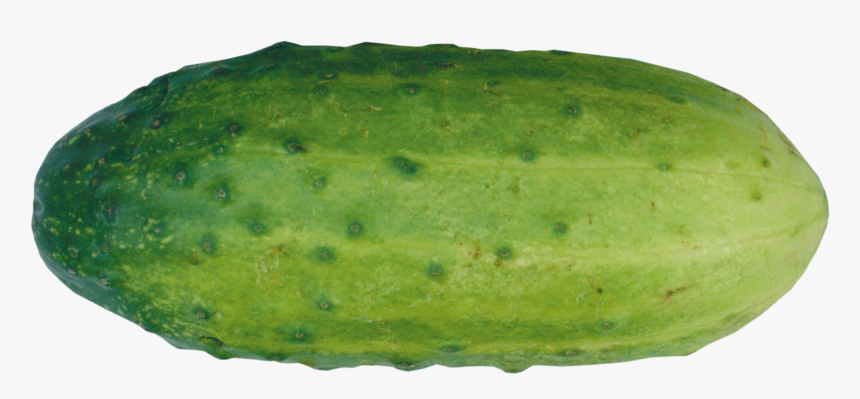 Cucumber Png - Papaya, Transparent Png