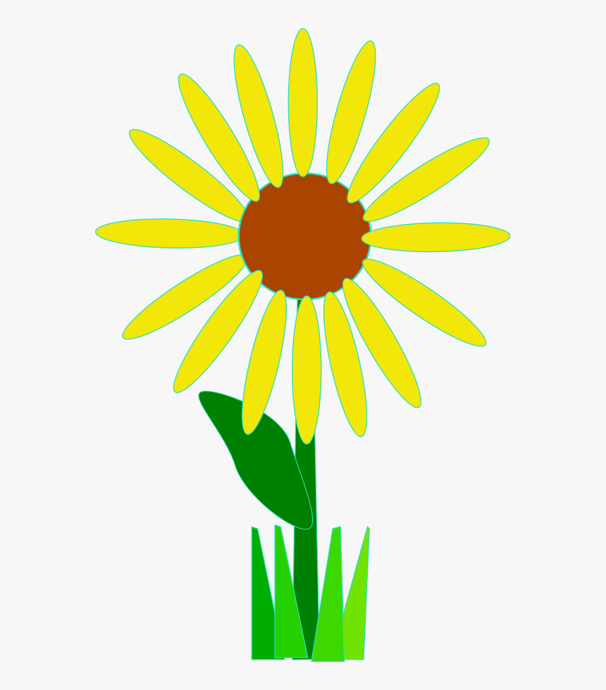 Transparent Black Eyed Susan Png - Flower Clip Art, Png Download