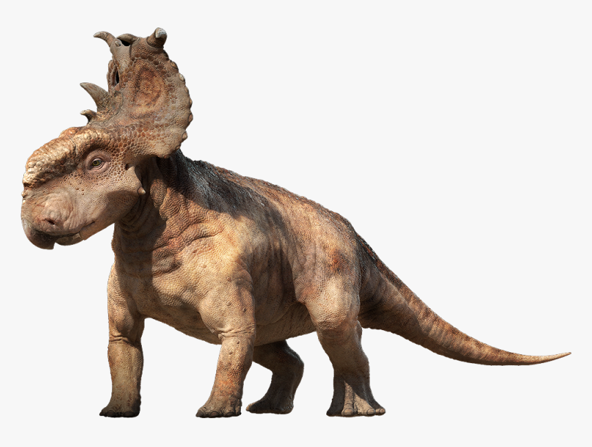 Dinosaur Png Image - Dinosaur Pachyrhinosaurus, Transparent Png