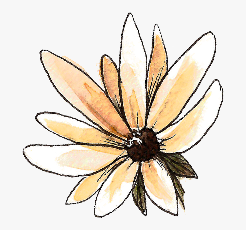 Purity Acne Clearing Cleanse Mask - Black-eyed Susan, HD Png Download