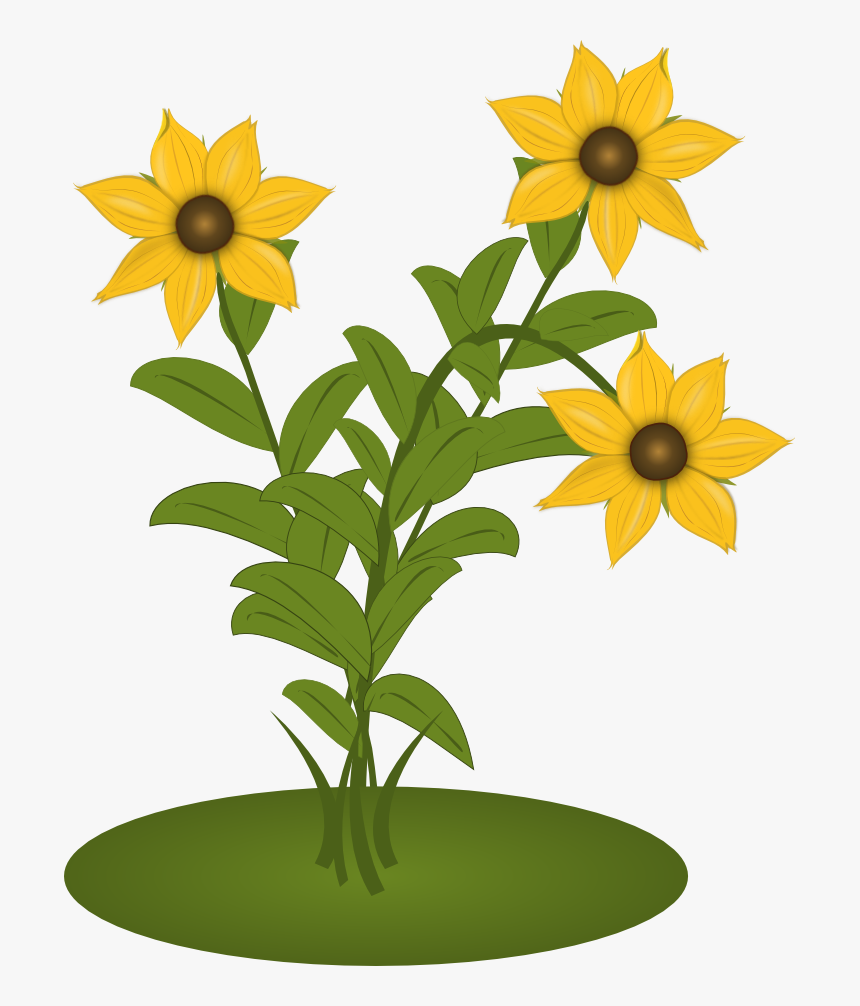 Black Eyed Susans - Clip Art, HD Png Download