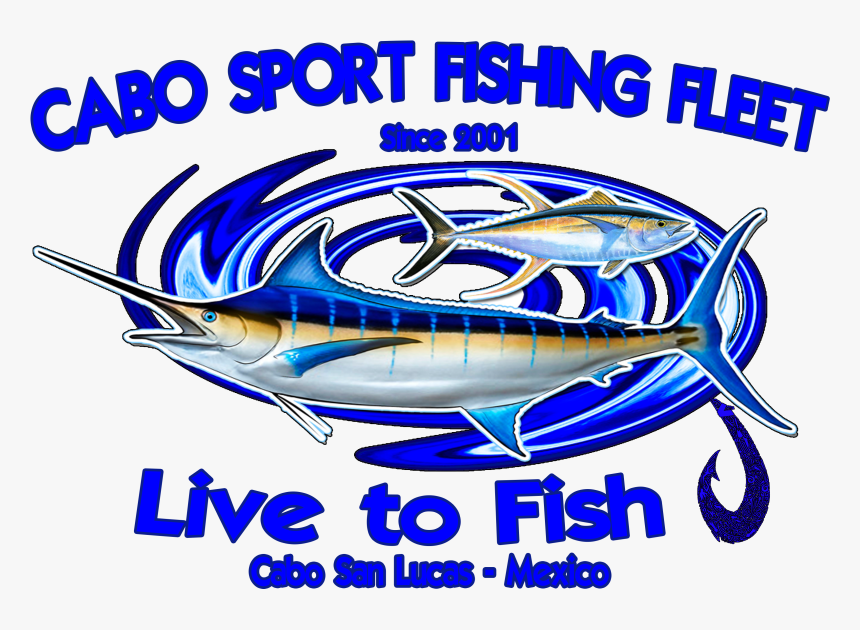 Cabo Sport Fishing Fleet - Atlantic Blue Marlin, HD Png Download
