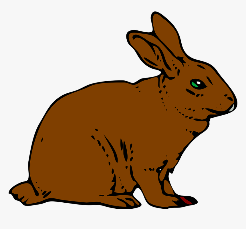 Rabbit, Bunny, Hare, Brown, Animal - Khargosh Black And White, HD Png Download