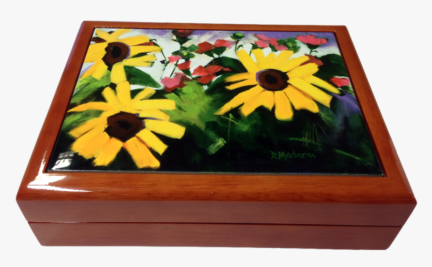 Transparent Black Eyed Susan Png - African Daisy, Png Download