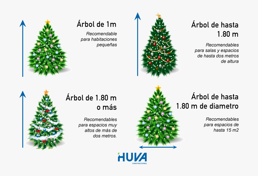Cuanto Mide Arbol De Mostaza, HD Png Download
