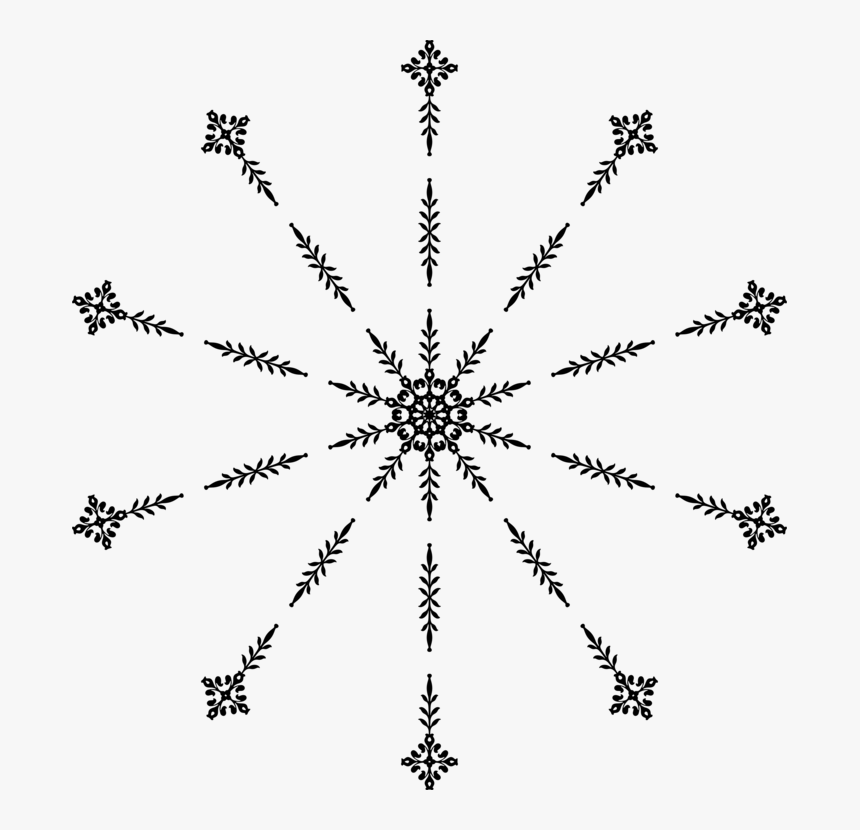 Plant,symmetry,area - Monochrome, HD Png Download