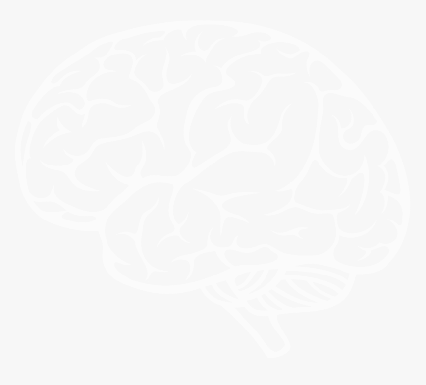 Transparent Background Neurologist Clipart, HD Png Download