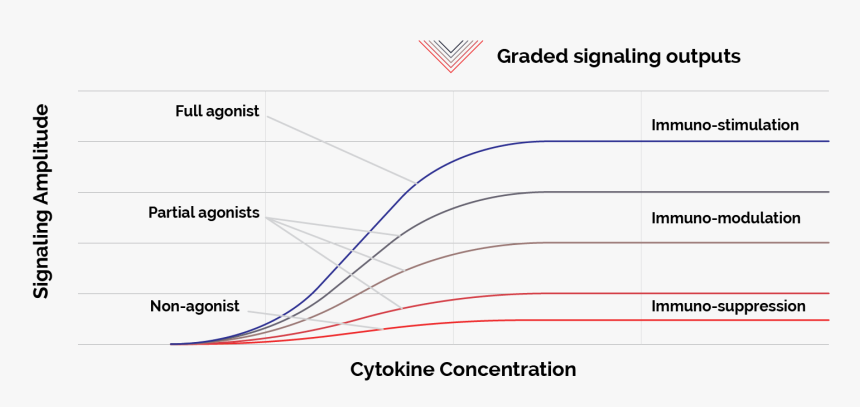 Cytokine Concentration Signaling Amplitute - Plot, HD Png Download