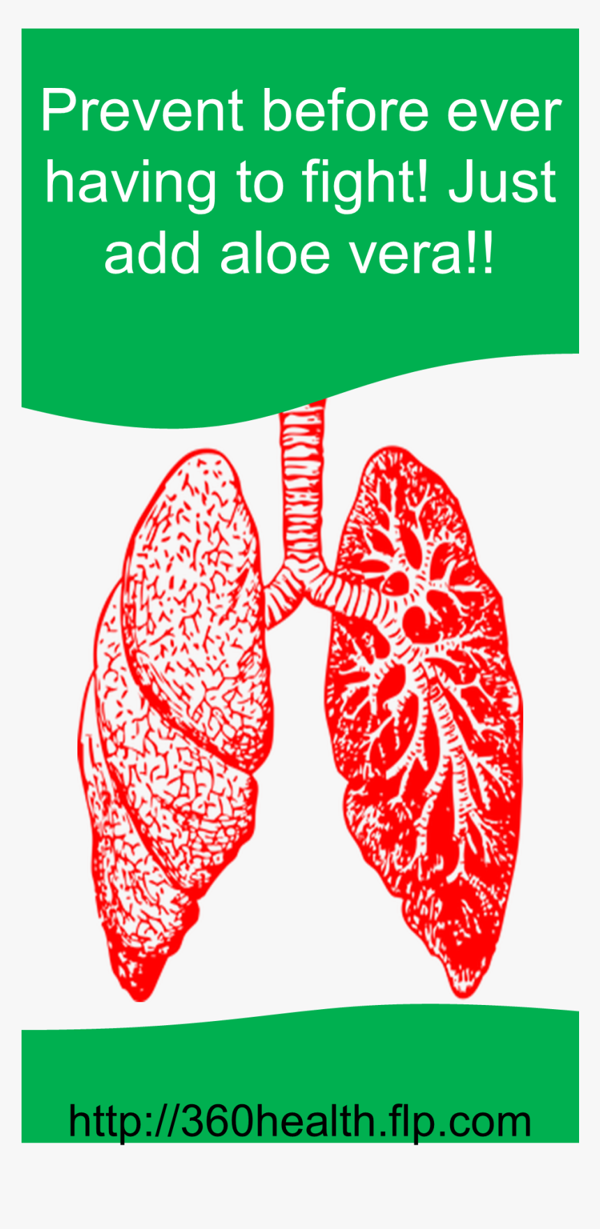 Lung Disease, HD Png Download